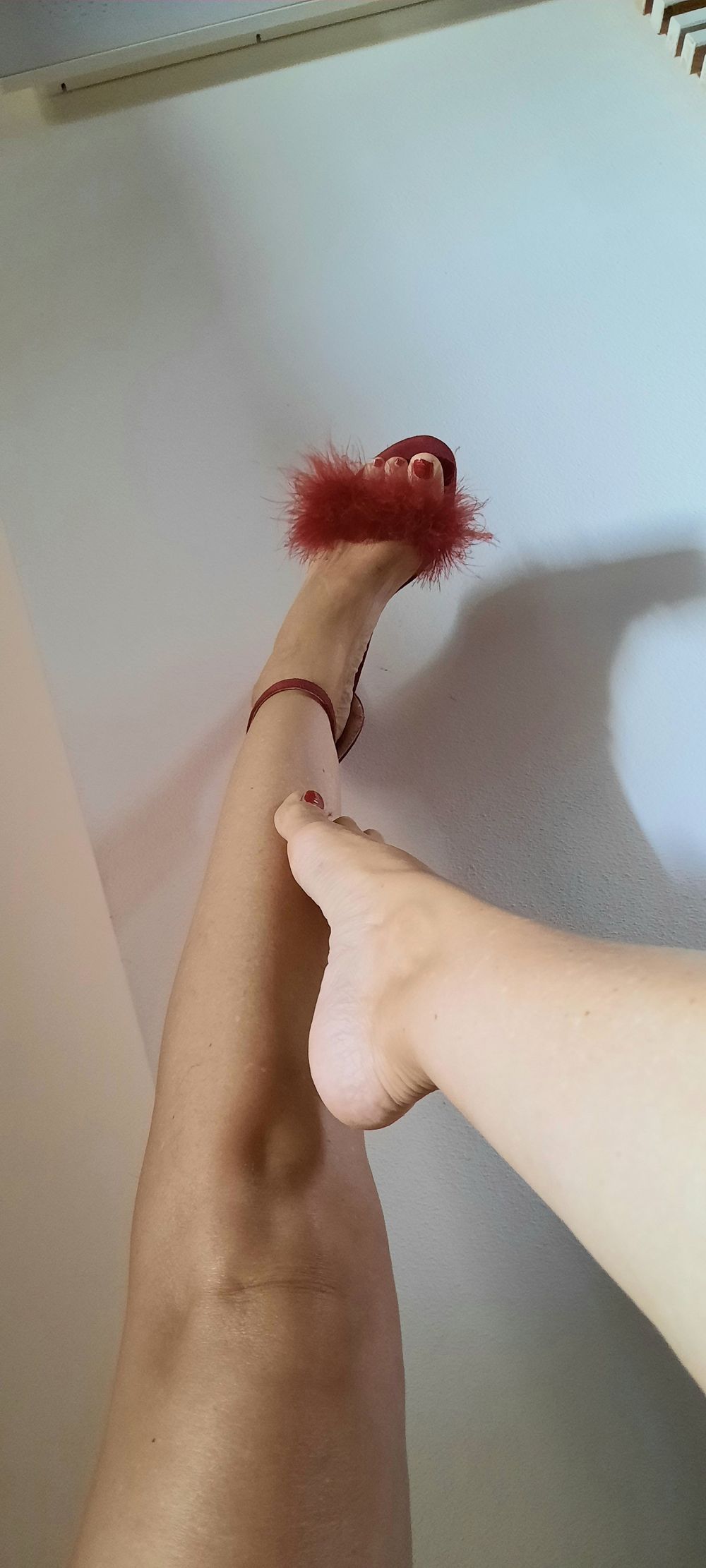 lesacdemiel OnlyFans profile picture