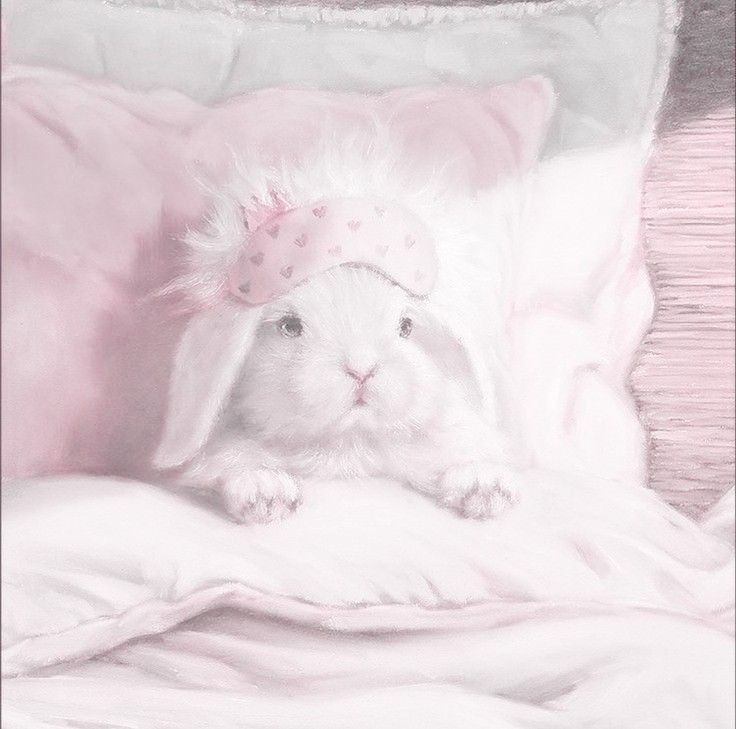 venusowo OnlyFans profile picture