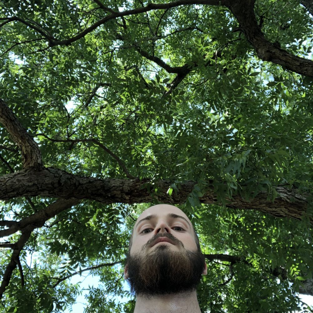 birdeggs OnlyFans profile picture