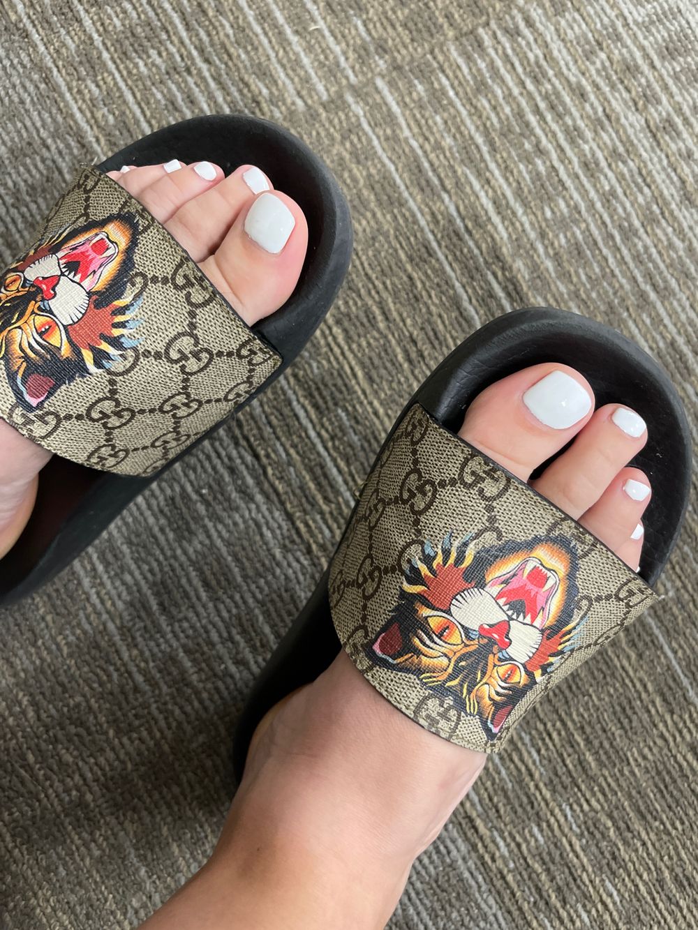 travelingspicyfeet OnlyFans profile picture
