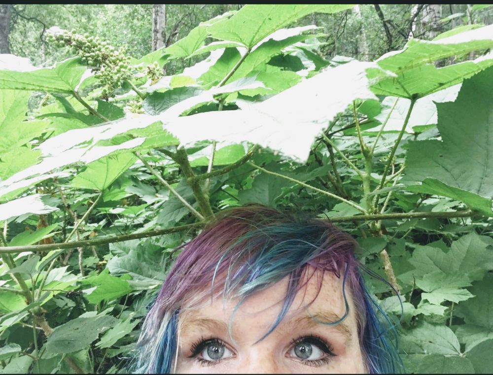salamander42069 OnlyFans profile picture