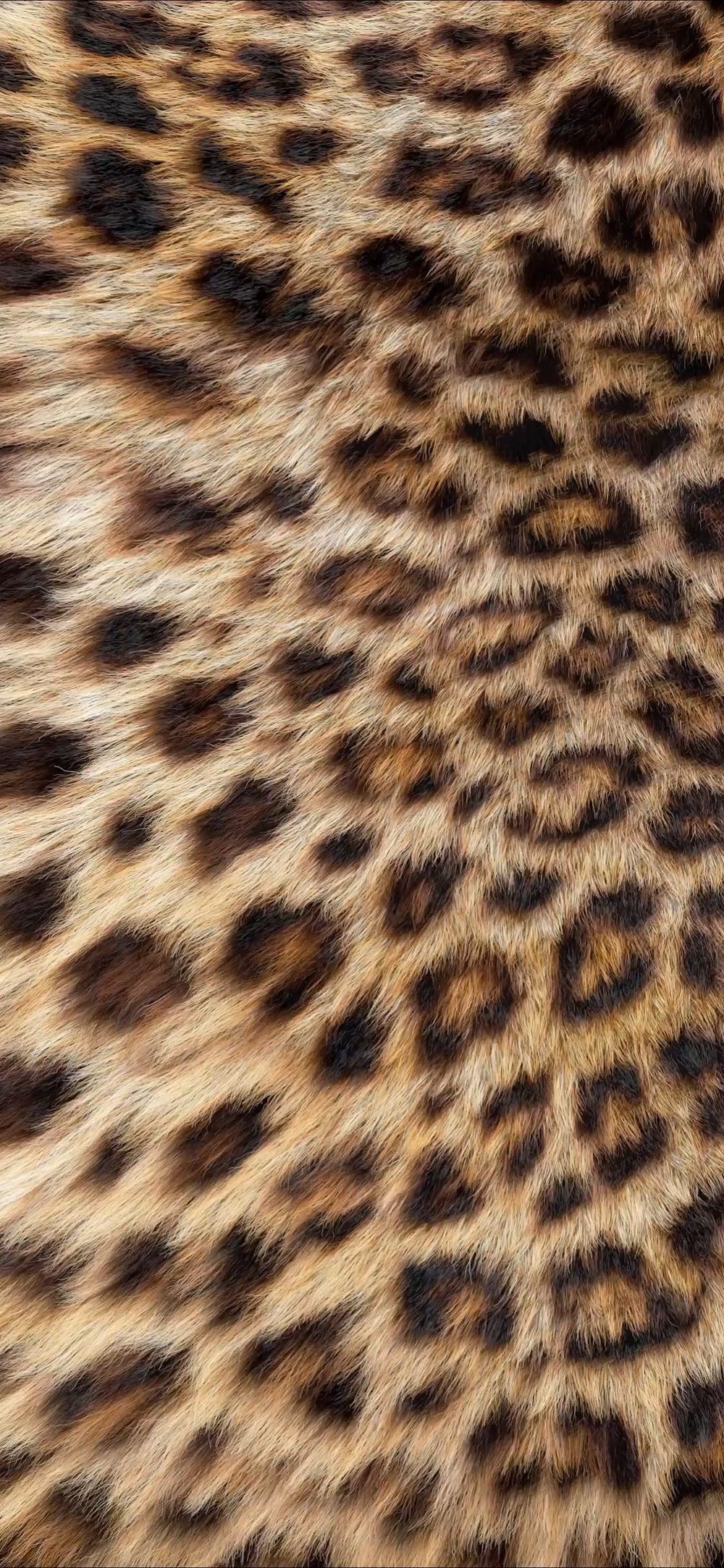 kimmara OnlyFans profile picture