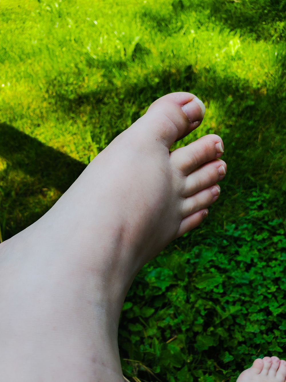 littlesunflower93 OnlyFans profile picture