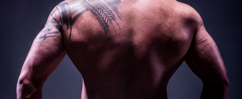 watchmeflex.now OnlyFans profile picture
