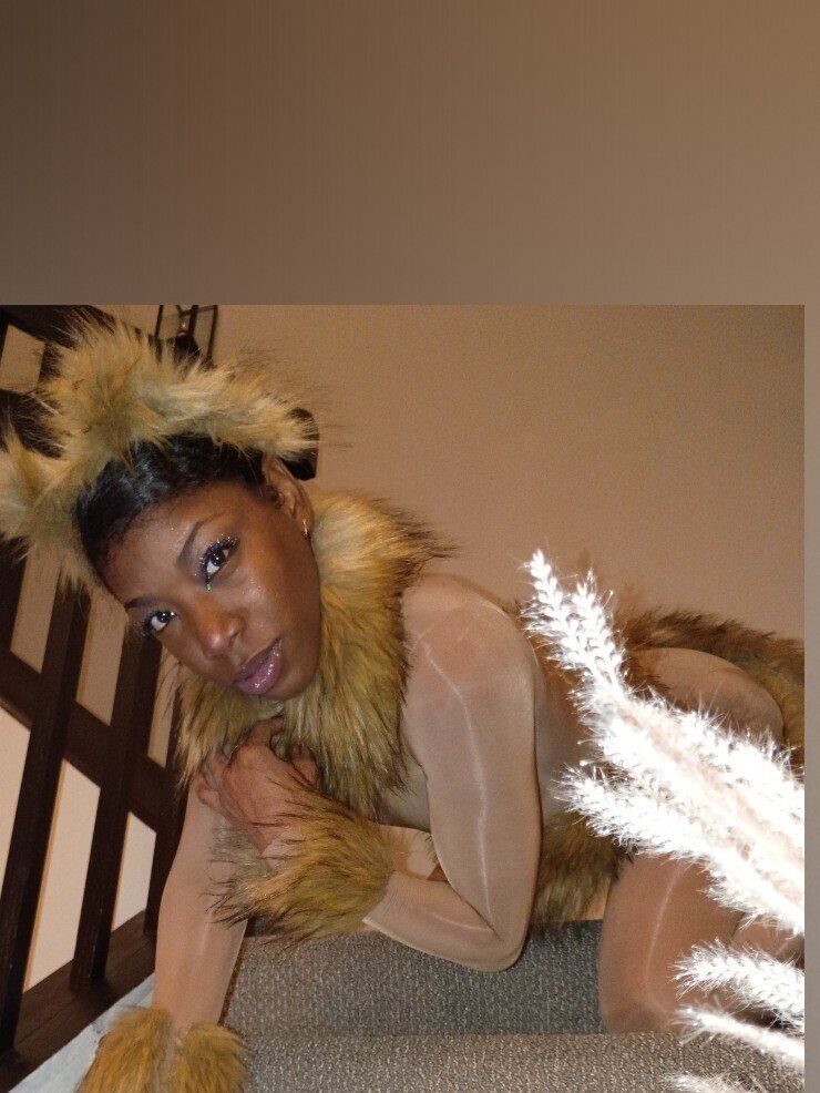 phetish169 OnlyFans profile picture