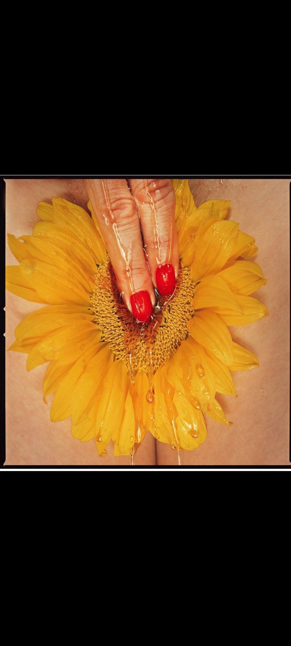 bbybella OnlyFans profile picture
