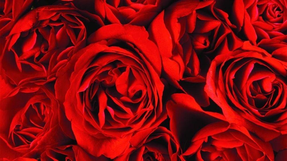 lovelydarknessx OnlyFans profile picture