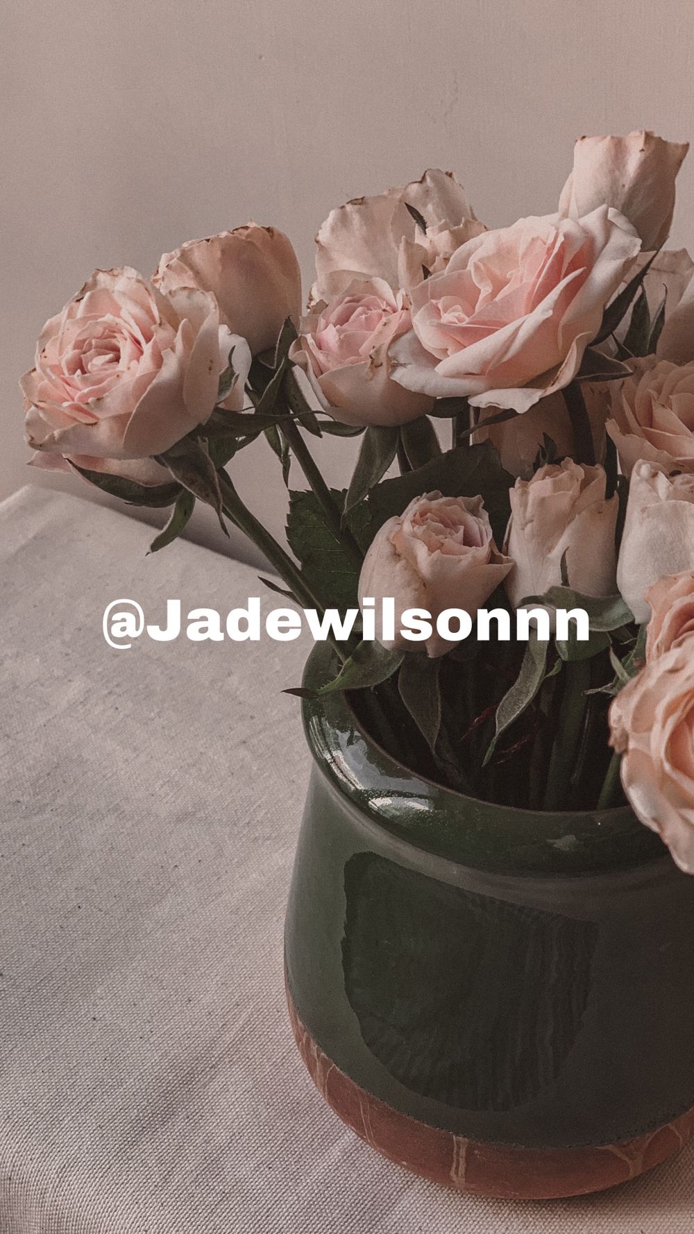 jadawilsonnn OnlyFans profile picture
