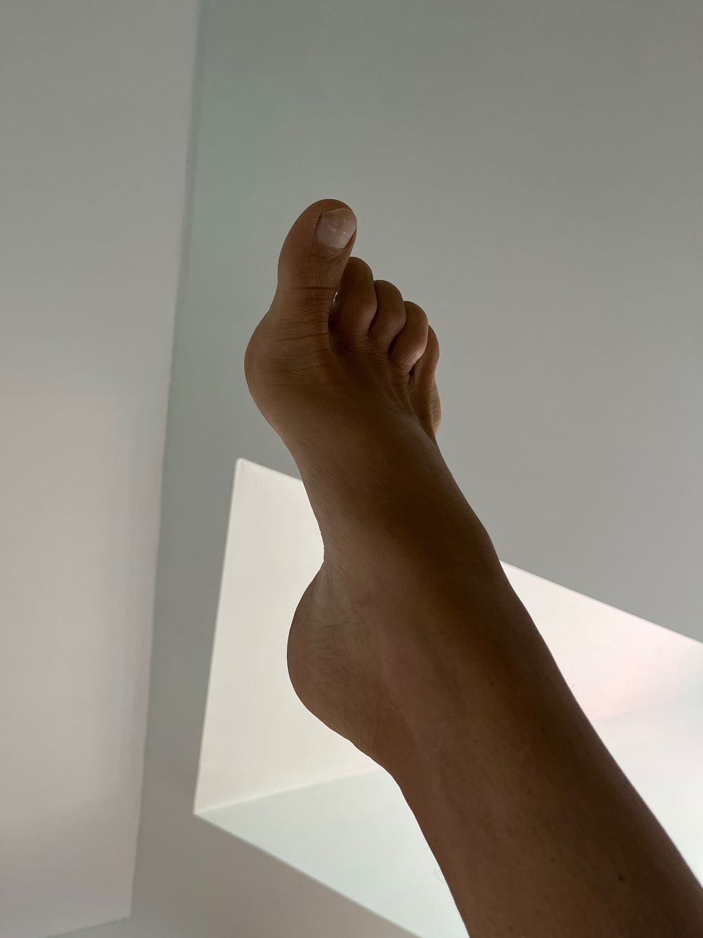 patalou OnlyFans profile picture
