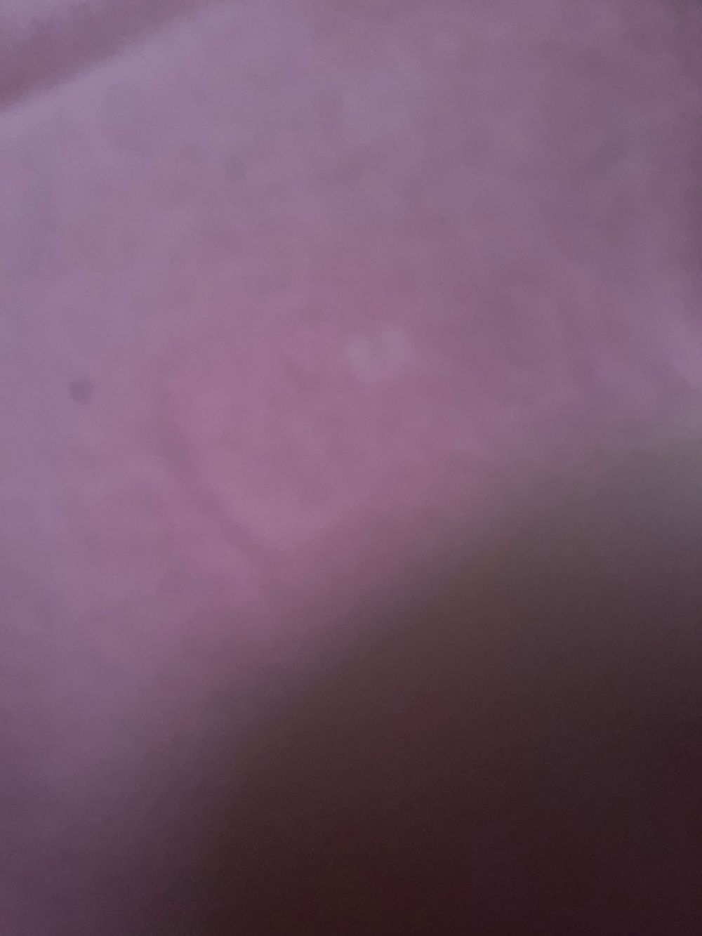 miiichele OnlyFans profile picture