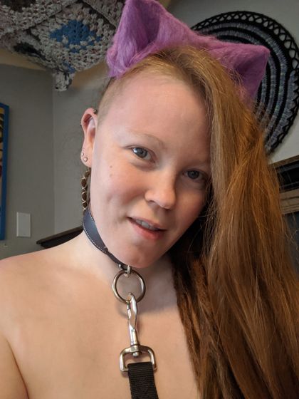 collaredcopper420 OnlyFans picture