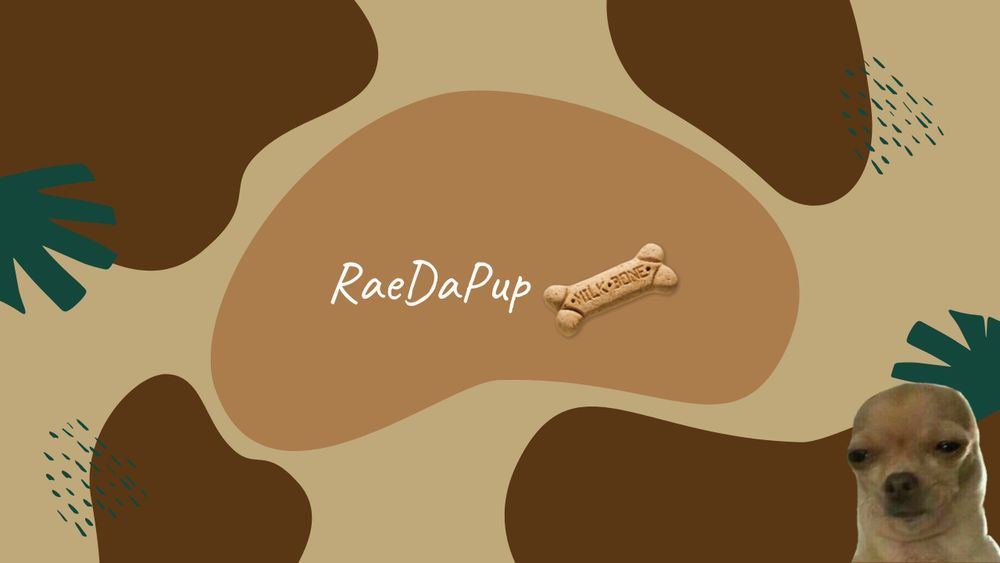 raedapup OnlyFans profile picture