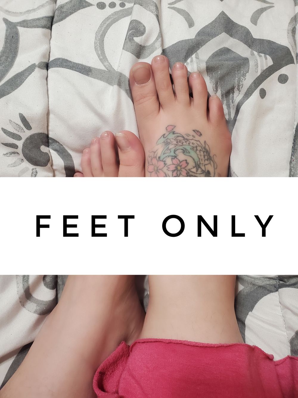 u149686296 OnlyFans profile picture