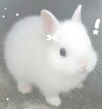 winnie_bunny OnlyFans picture