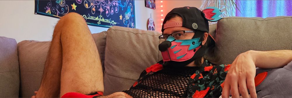 ollythepup OnlyFans profile picture