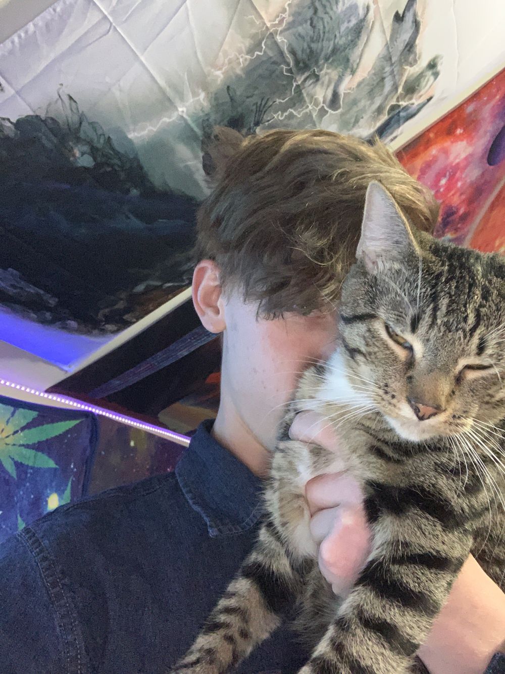 justalittledepressed OnlyFans profile picture