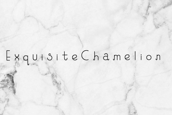 exquisitechamelion OnlyFans profile picture