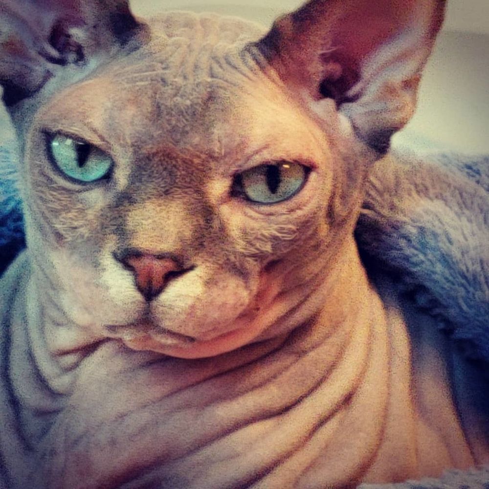 leahcarbs OnlyFans profile picture