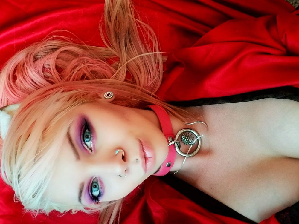 valvoncat OnlyFans profile picture