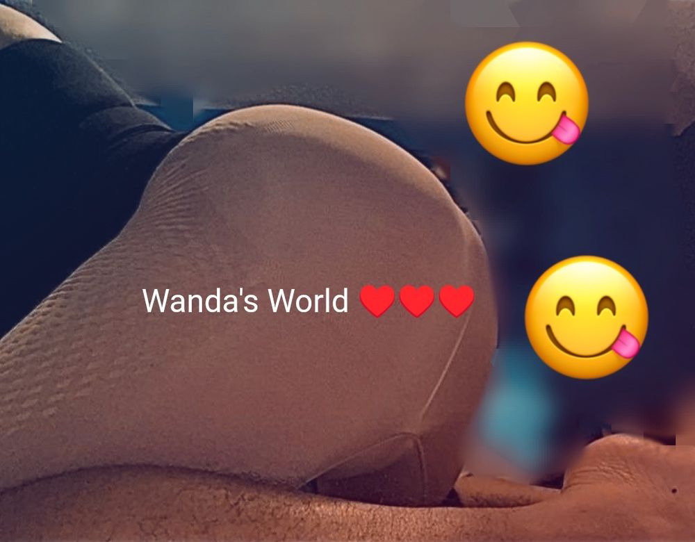 wandalovecd OnlyFans profile picture