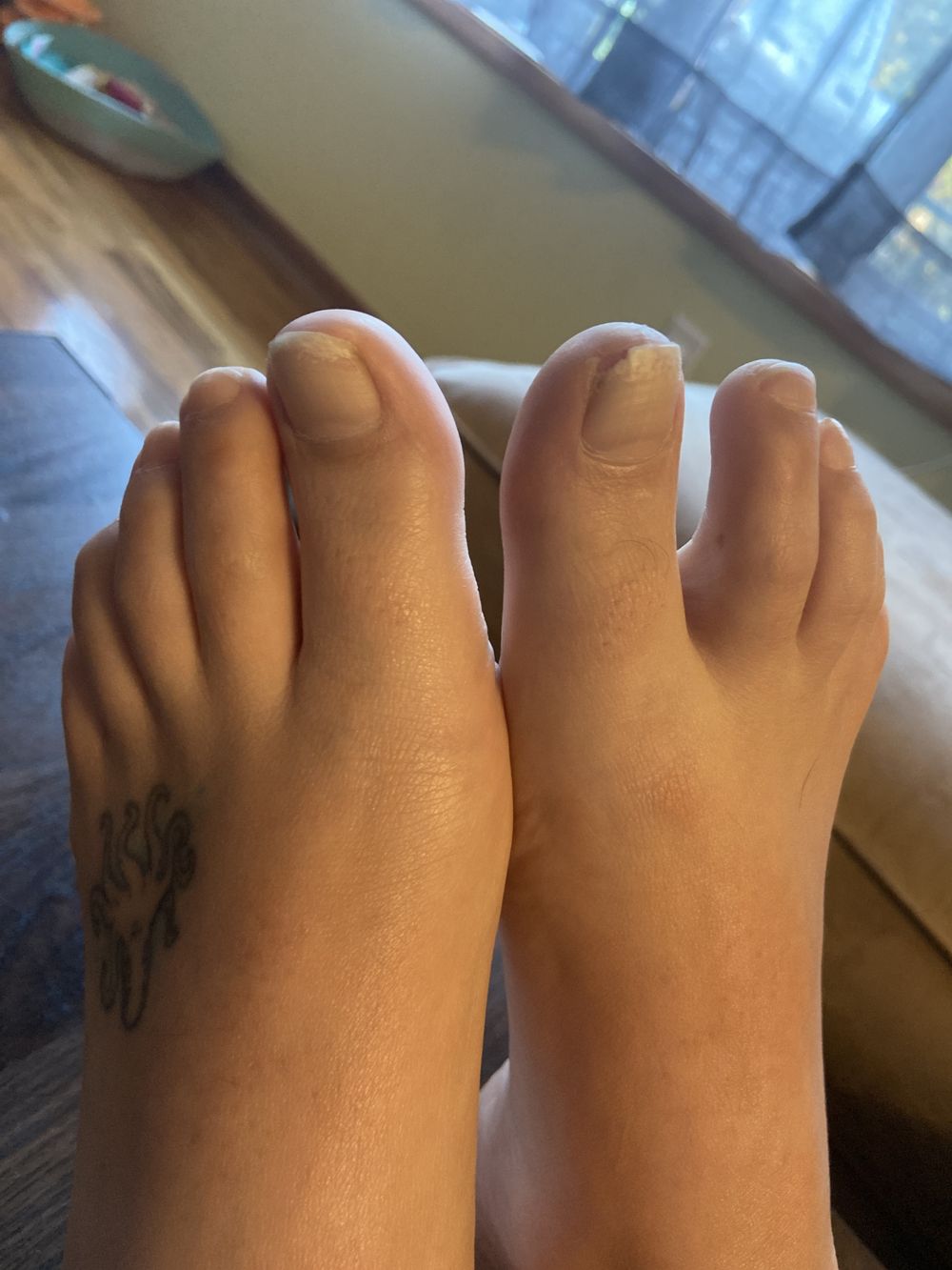 feeturecreature777 OnlyFans profile picture