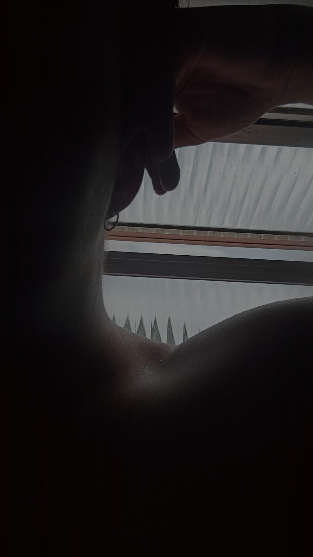 ceifeiroof OnlyFans profile picture