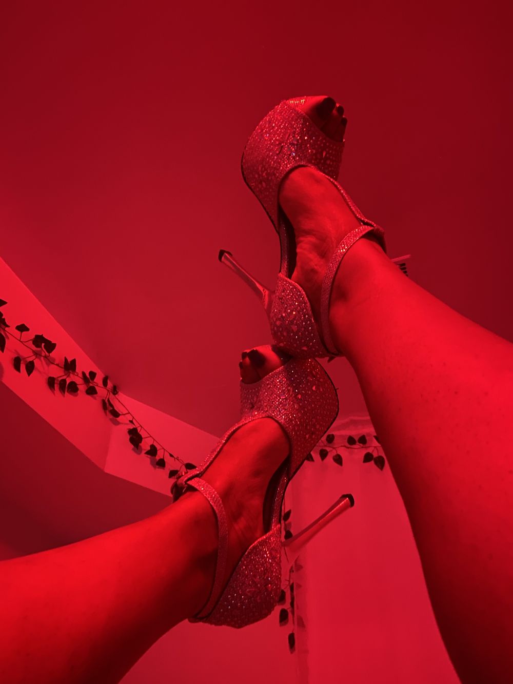 feetgoddess247 OnlyFans profile picture