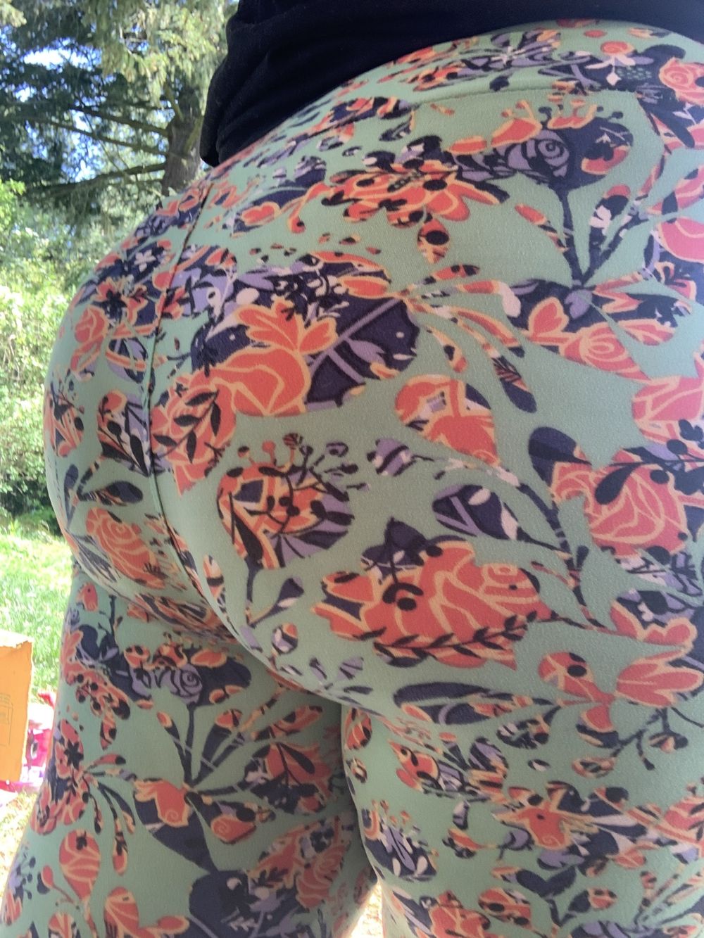 ariellemcc OnlyFans profile picture