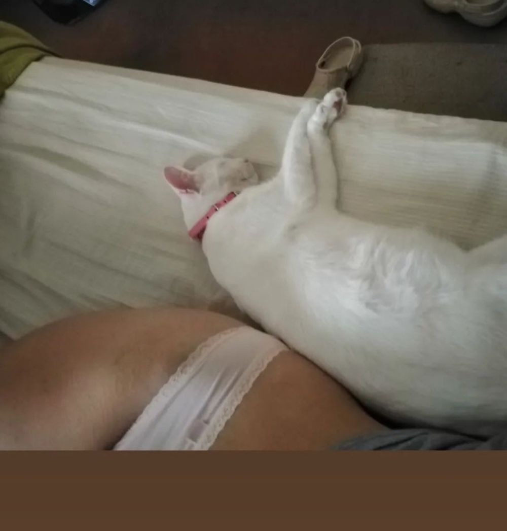 belii_black OnlyFans profile picture