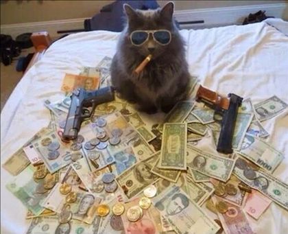 richcat11 OnlyFans picture