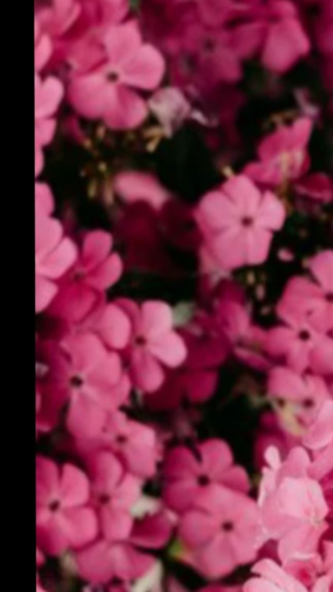 britney_hilton OnlyFans profile picture