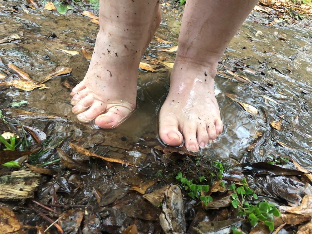 daisymaesprettyfeet OnlyFans profile picture