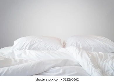 shylamaeve OnlyFans profile picture