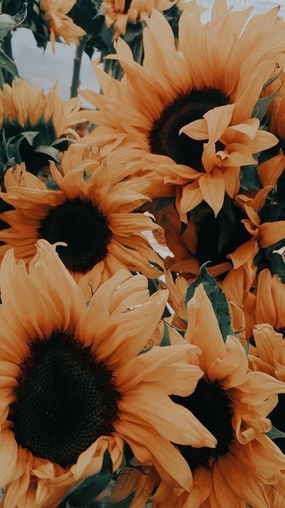 hayliza OnlyFans profile picture