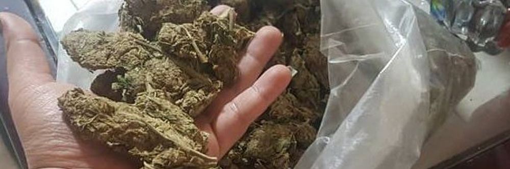 giuska420 OnlyFans profile picture