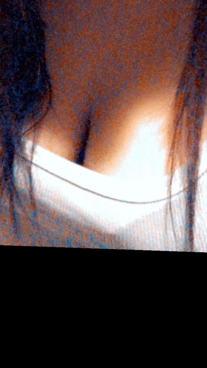 nikkicole1126 OnlyFans profile picture