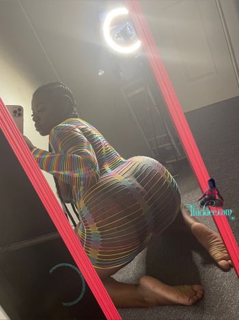 Check Your DMS