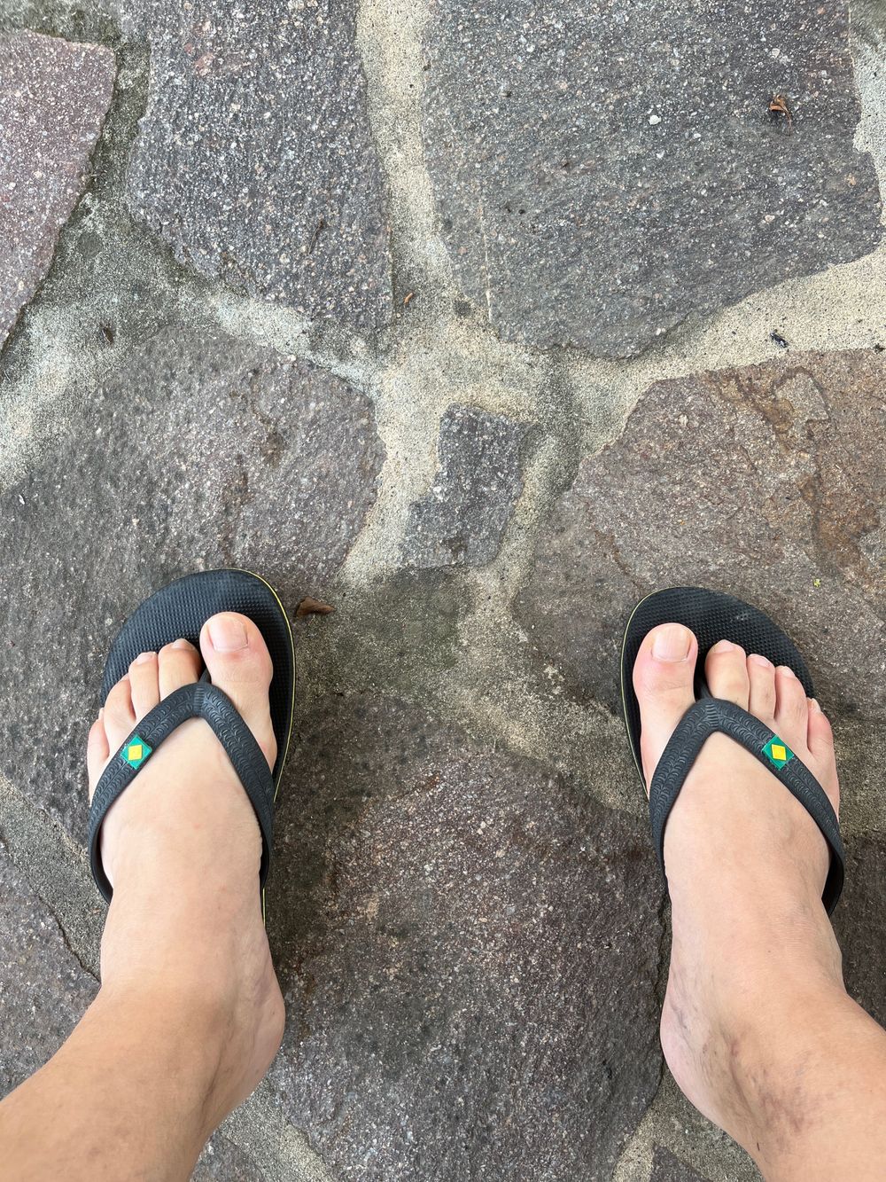 bearfeet79 OnlyFans profile picture
