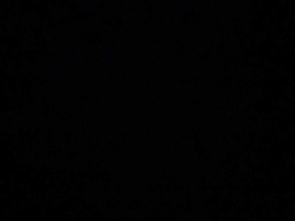 kiwigray OnlyFans profile picture