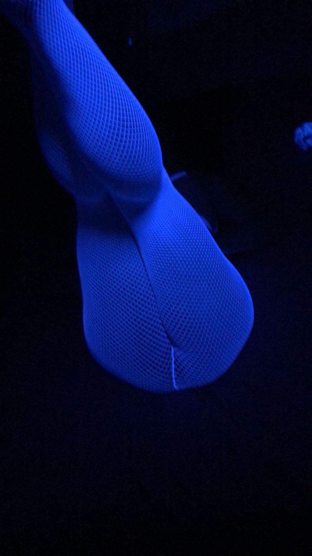 karissaxoxo OnlyFans profile picture