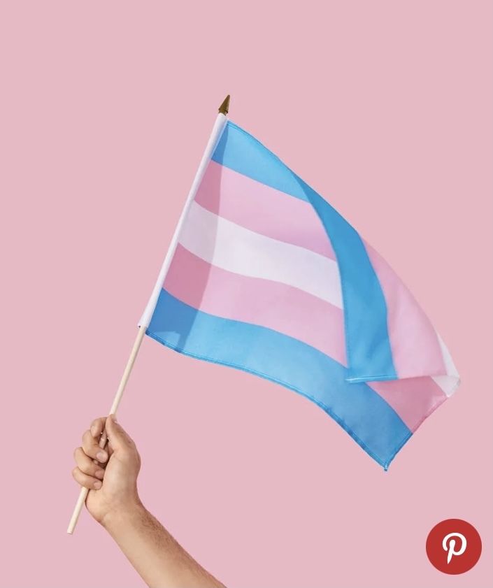 transmanwyatt OnlyFans profile picture