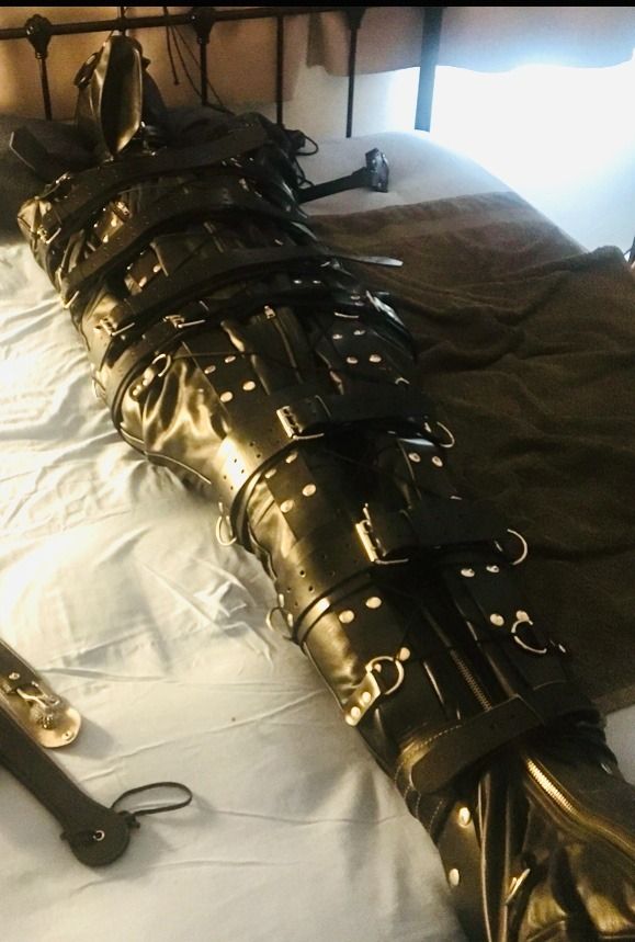 the_latex_gimp OnlyFans profile picture