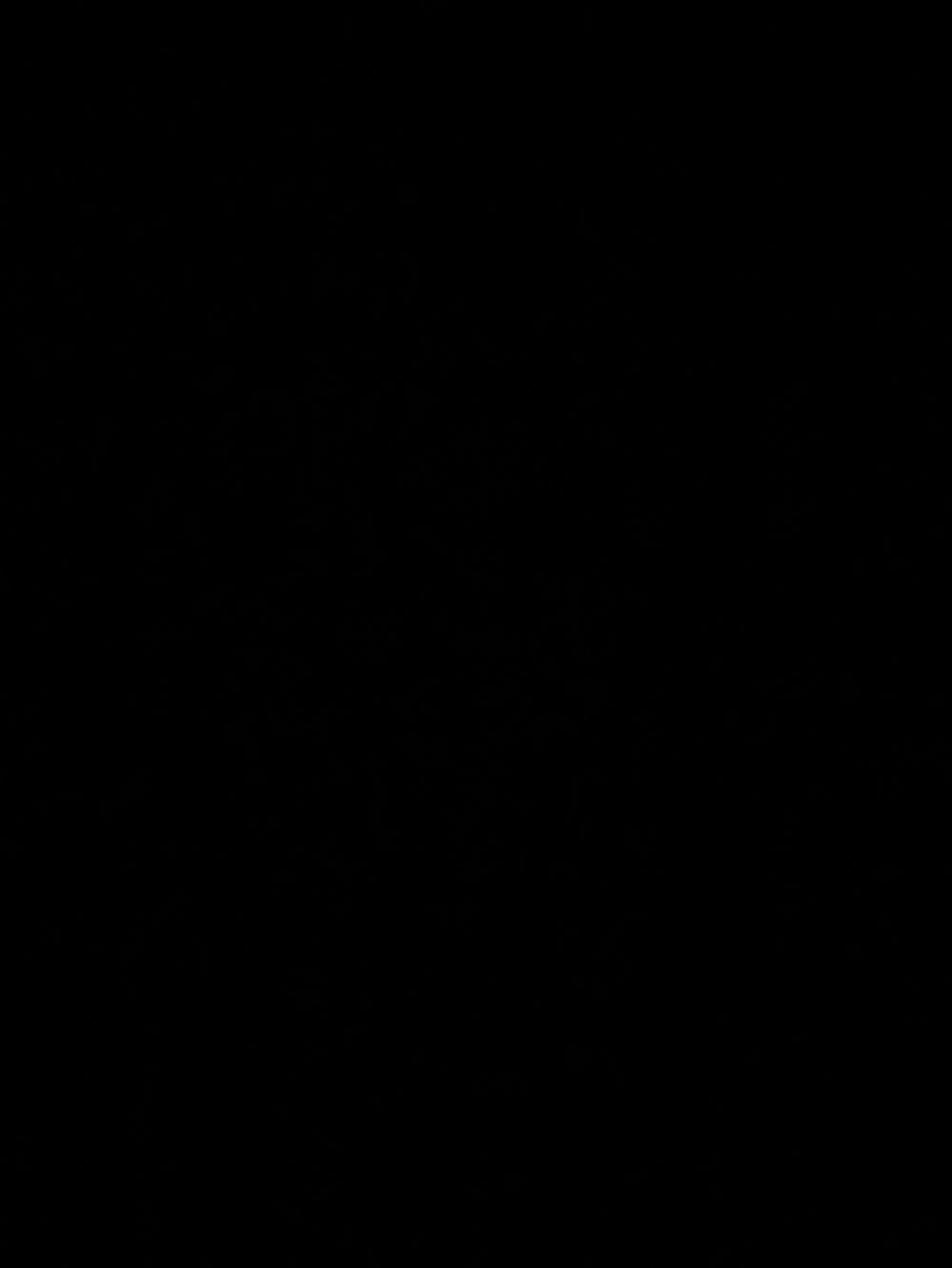 jsjejehjsj OnlyFans profile picture