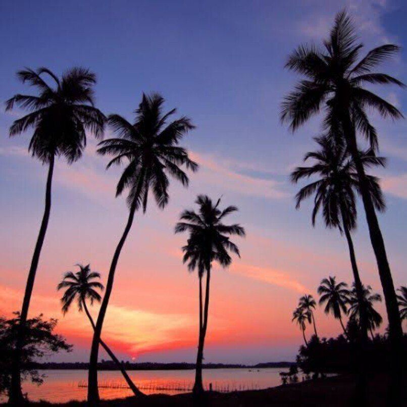 island.stamina OnlyFans profile picture