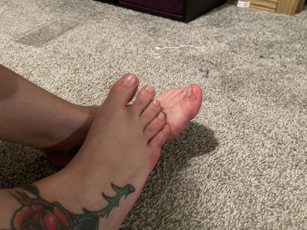 tattoobarby OnlyFans profile picture