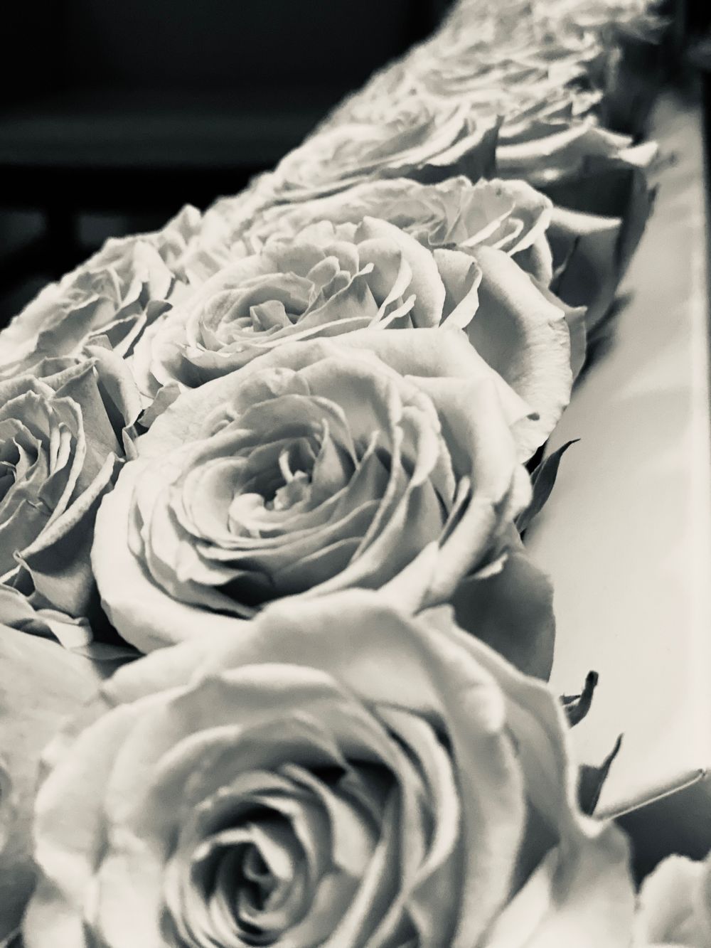 karmelswirls OnlyFans profile picture