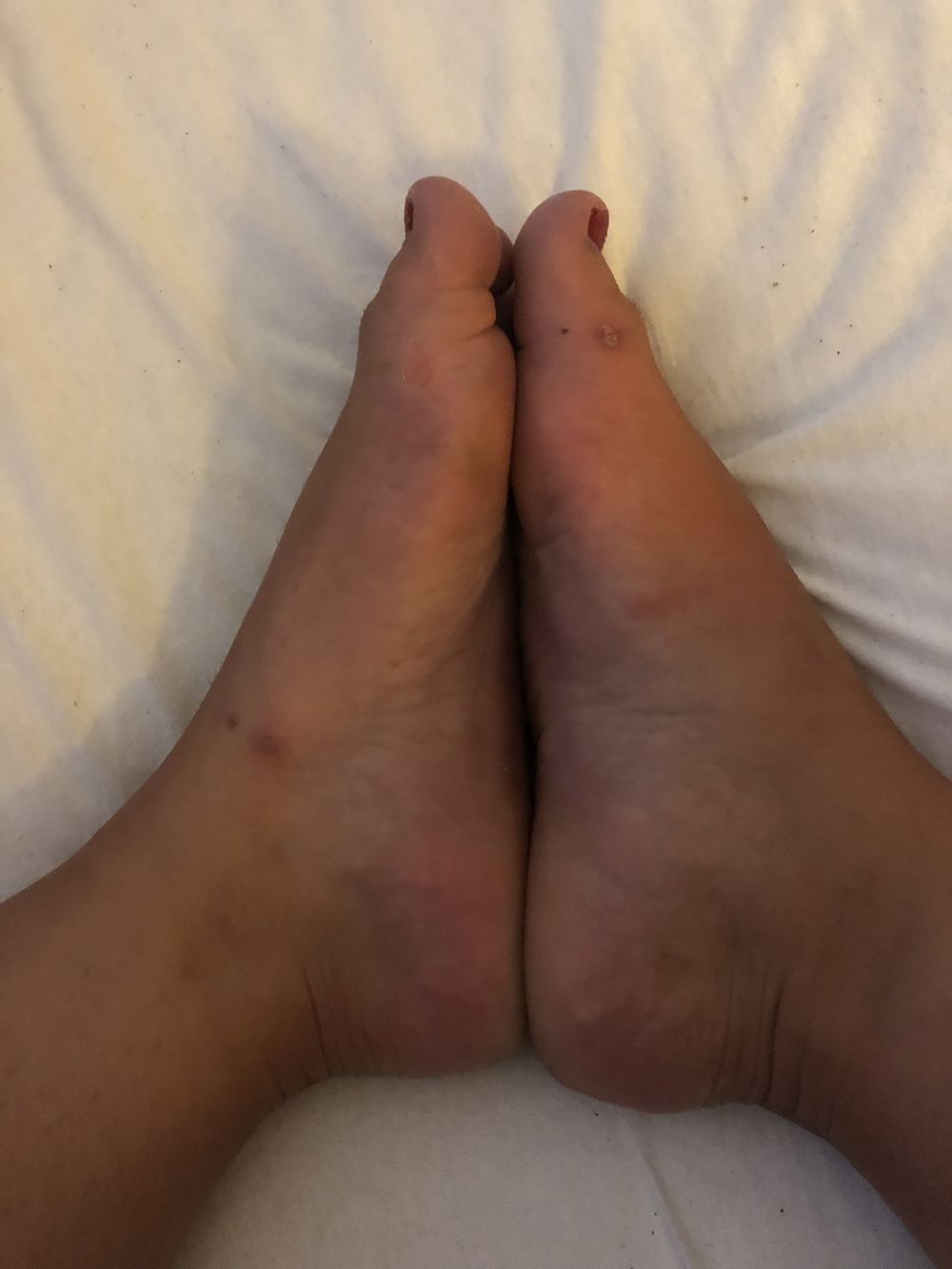amirafeetos OnlyFans profile picture