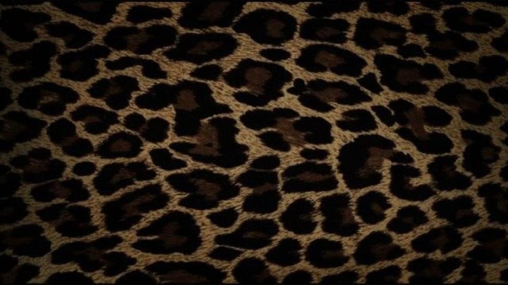 leonalionheart7 OnlyFans profile picture