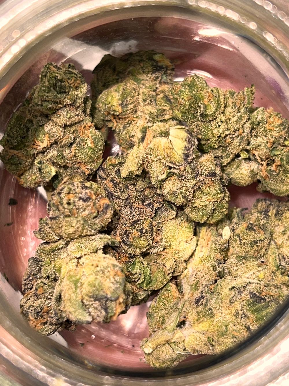 baggygranola OnlyFans profile picture