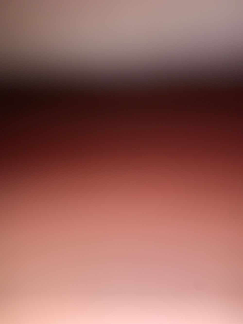 carmensandiego902 OnlyFans profile picture